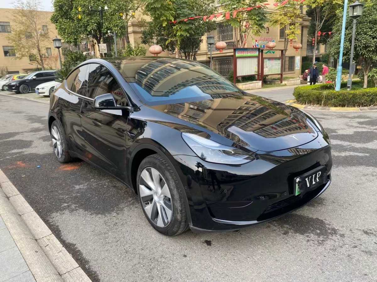 特斯拉 Model 3  2022款 后輪驅(qū)動版圖片