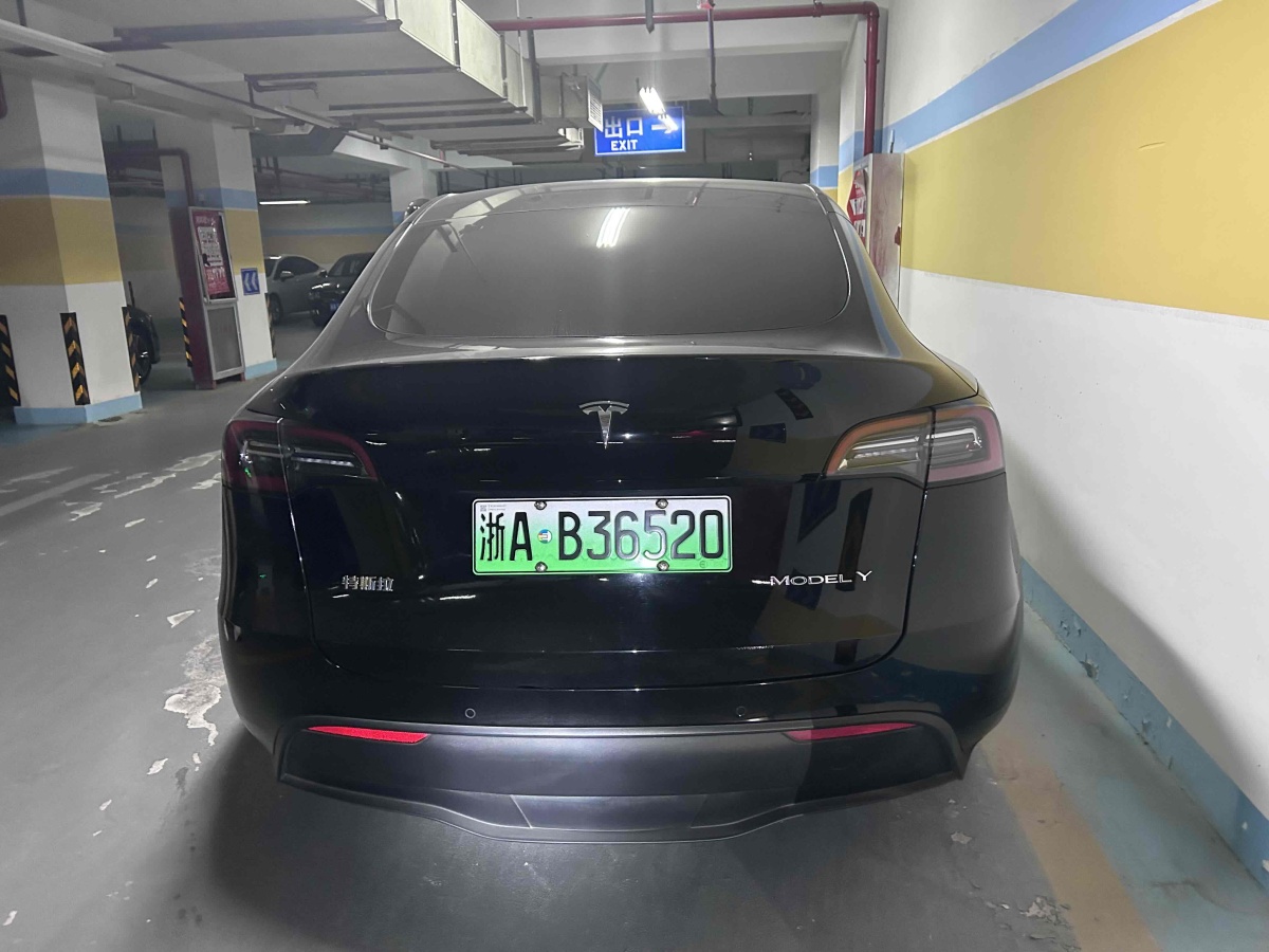 特斯拉 Model 3  2020款 改款 長續(xù)航后輪驅(qū)動(dòng)版圖片