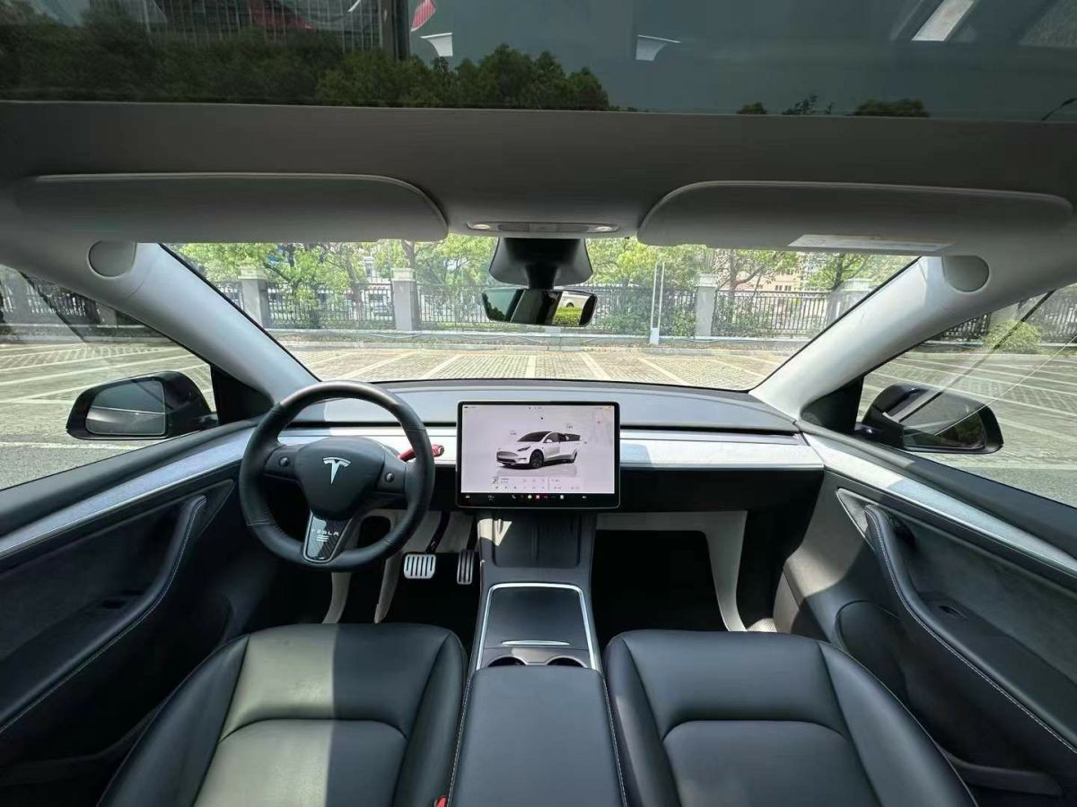 特斯拉 Model Y  2024款 Performance高性能版圖片