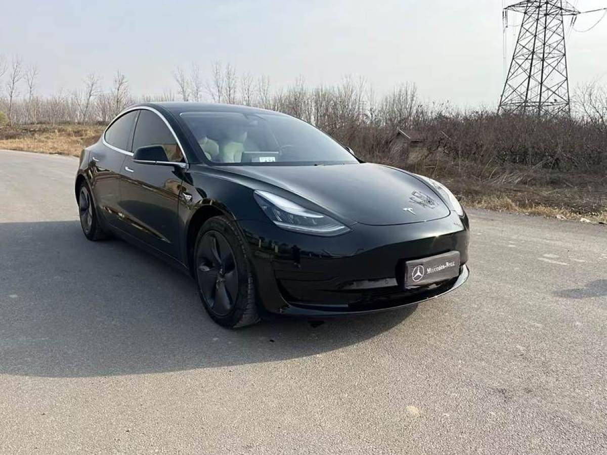 特斯拉 Model 3  2019款 標(biāo)準(zhǔn)續(xù)航后驅(qū)升級(jí)版圖片