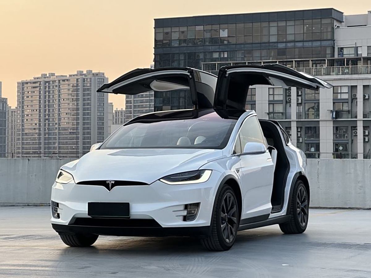 特斯拉 Model X  2019款 Performance 高性能版圖片