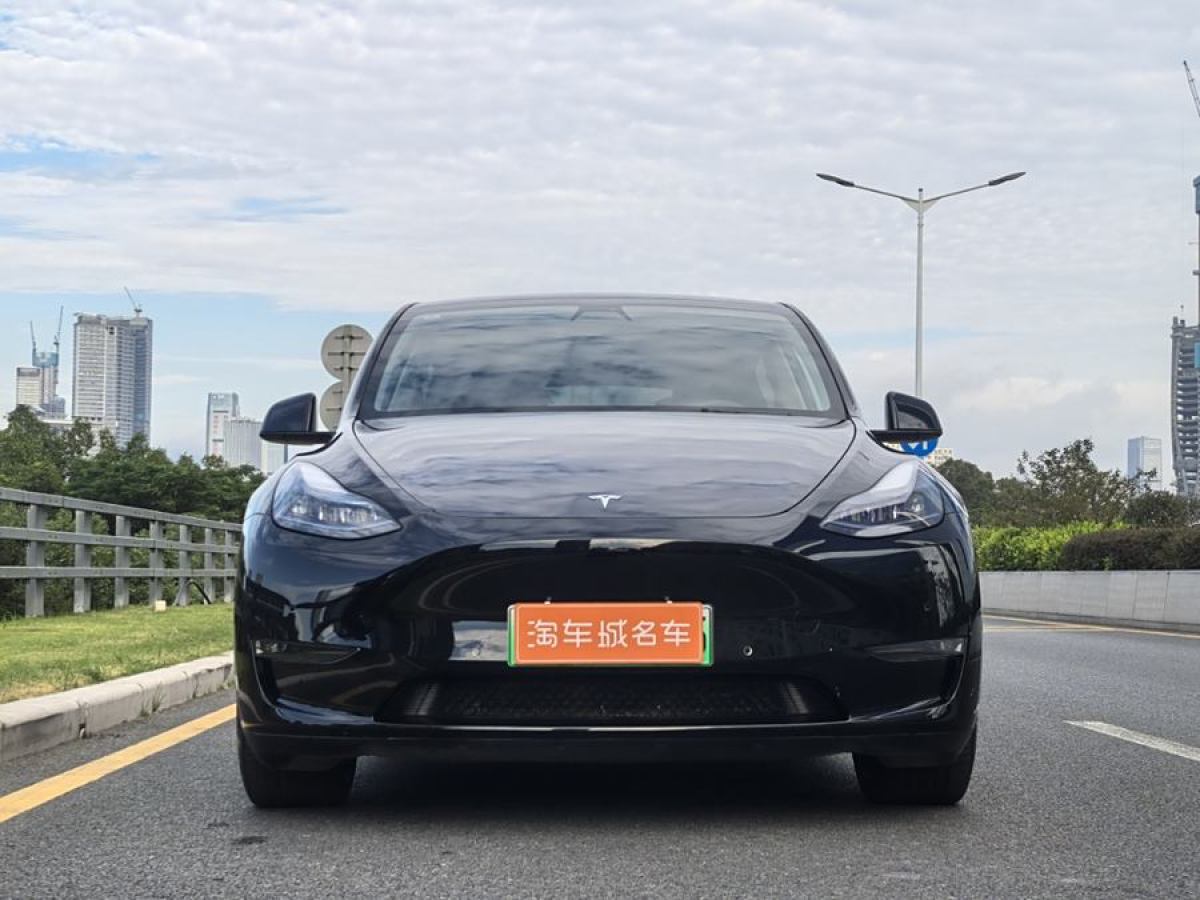 特斯拉 Model Y  2022款 Performance高性能全輪驅(qū)動版圖片