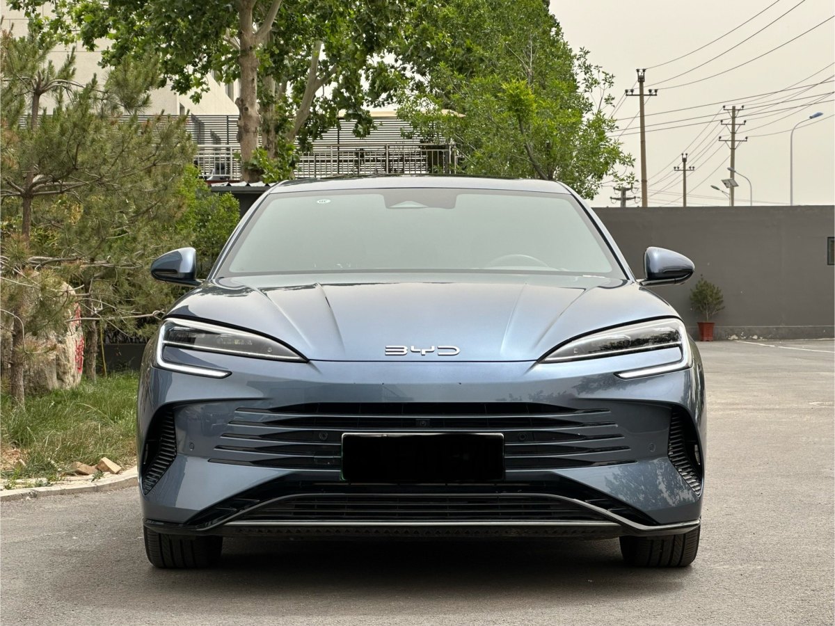 比亞迪 海豹  2024款 榮耀版 DM-i 1.5T 121km 旗艦型圖片