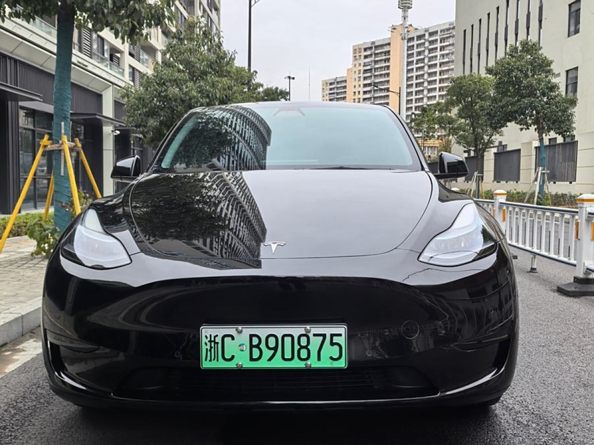 特斯拉 Model 3  2020款 改款 長續(xù)航后輪驅(qū)動版圖片