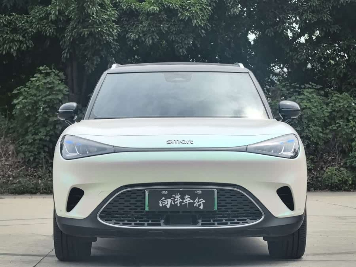 smart smart精靈#1  2022款 Pro+版圖片
