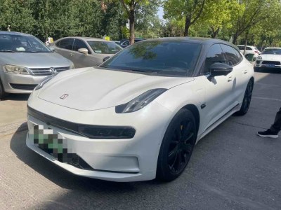 2022年8月 極氪 極氪001 超長(zhǎng)續(xù)航單電機(jī) WE版圖片