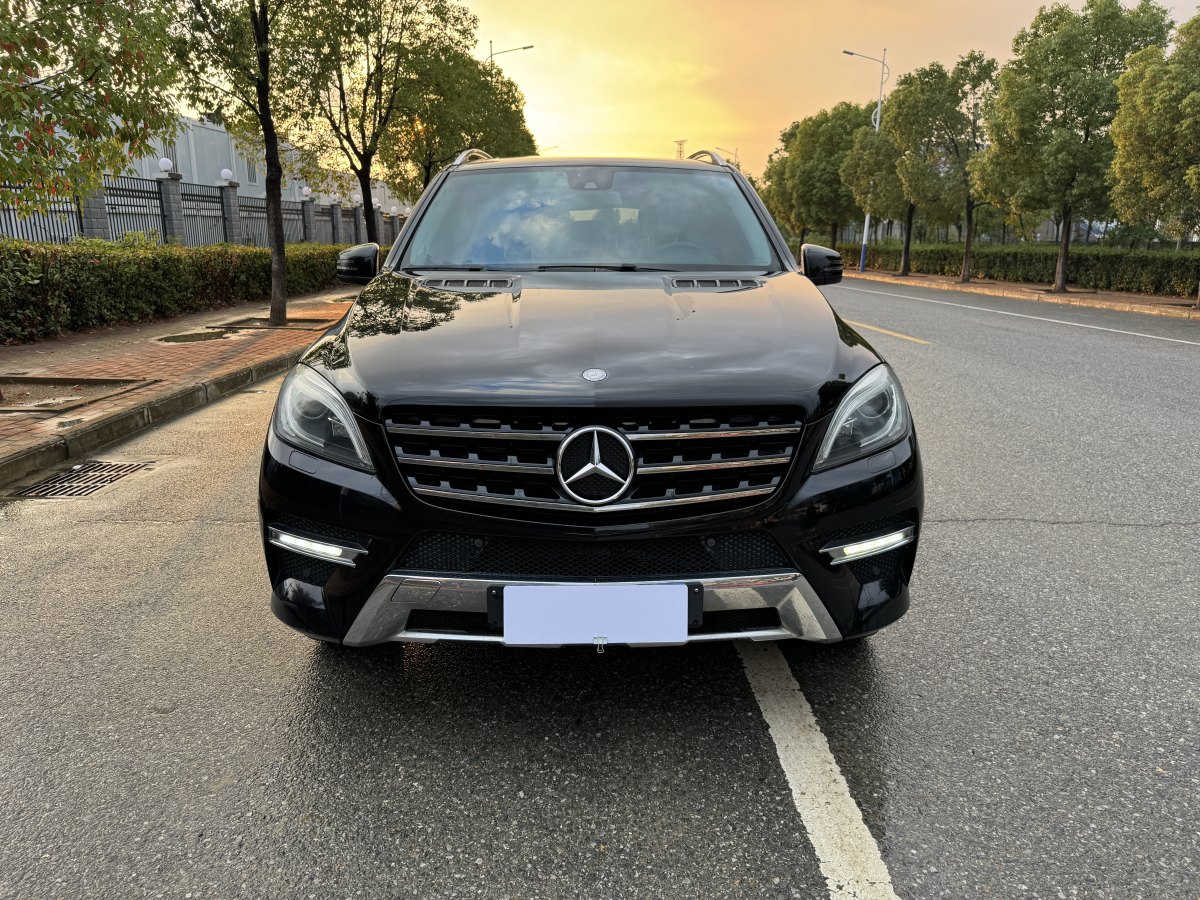 2014年1月奔馳 奔馳M級(jí)  2014款 ML 320 4MATIC