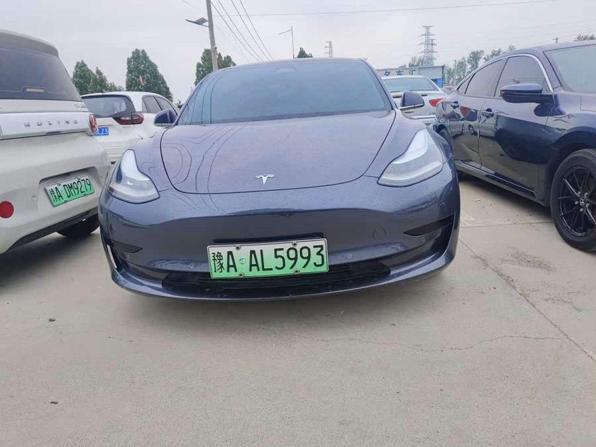 特斯拉 Model 3  2020款 改款 標(biāo)準(zhǔn)續(xù)航后驅(qū)升級(jí)版圖片