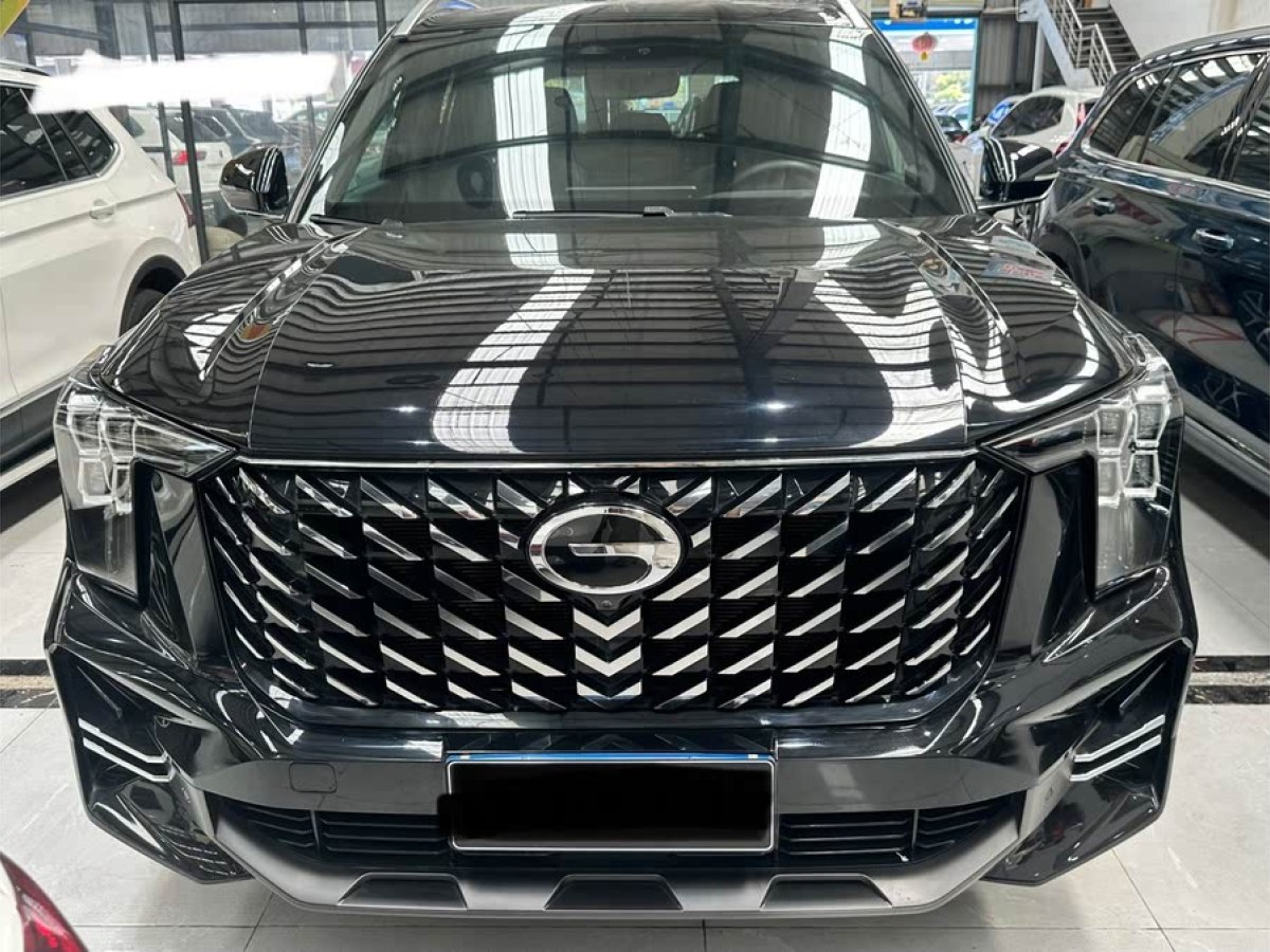 廣汽傳祺 GS8  2024款 領(lǐng)航系列 2.0TGDI 兩驅(qū)豪華智聯(lián)版圖片