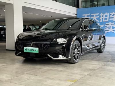 2024年2月 嵐圖 嵐圖追光 PHEV 四驅(qū)超長續(xù)航行政版圖片