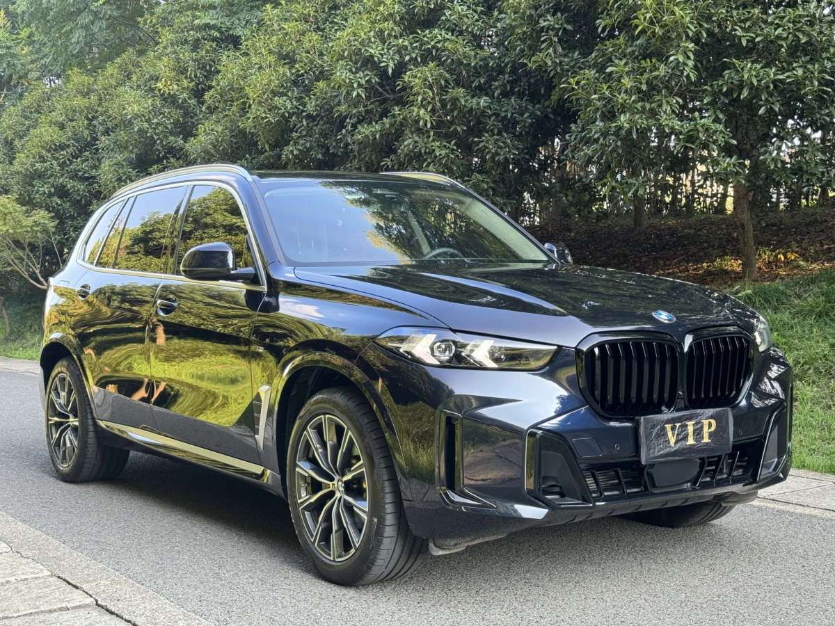 宝马 宝马X5  2023款 xDrive 30Li M运动套装图片