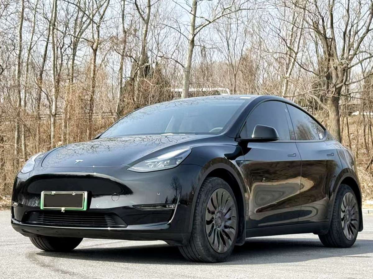 2022年6月特斯拉 Model Y  2022款 長(zhǎng)續(xù)航全輪驅(qū)動(dòng)版