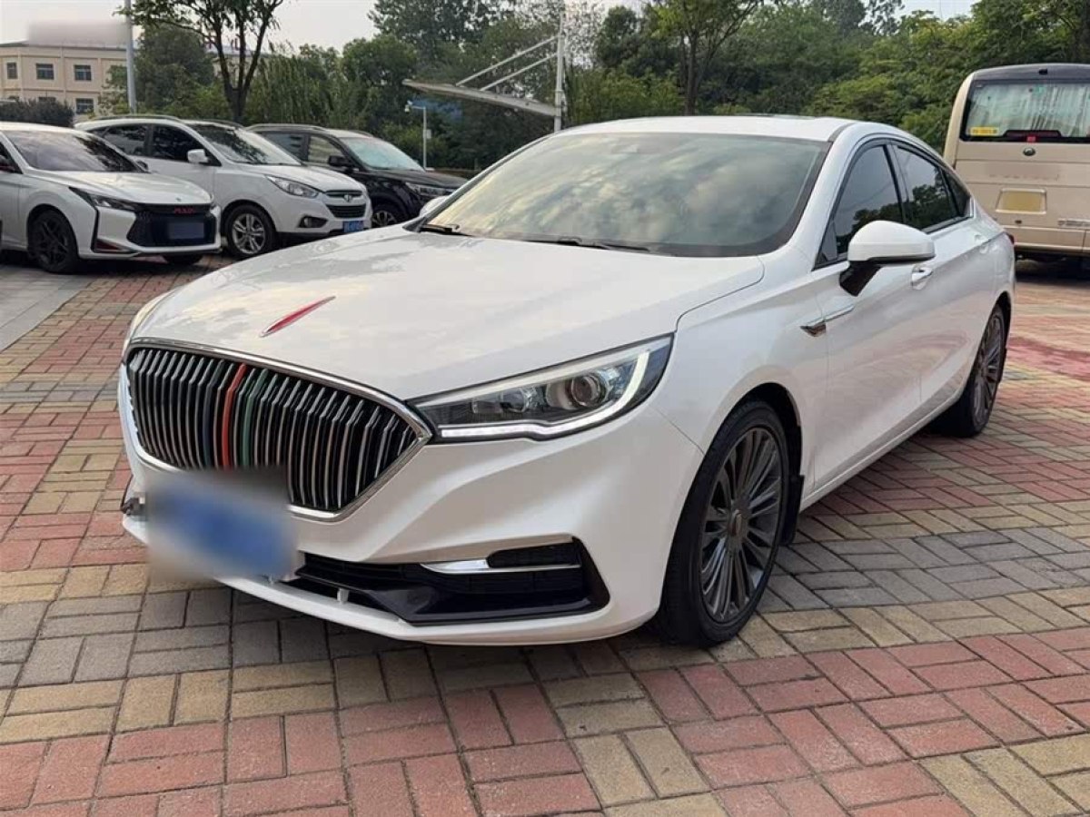 紅旗 H5  2019款  30TD 靈動(dòng)版圖片