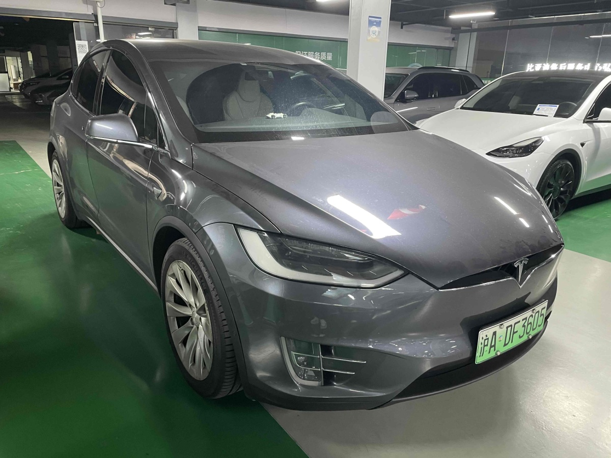 特斯拉 Model X  2019款 長(zhǎng)續(xù)航版圖片