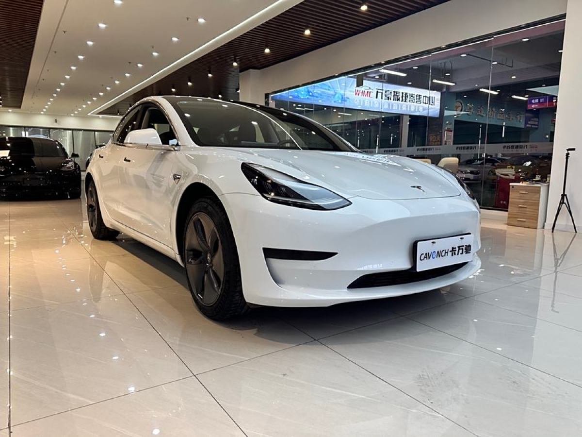 特斯拉 Model 3  2020款 改款 標(biāo)準(zhǔn)續(xù)航后驅(qū)升級版圖片