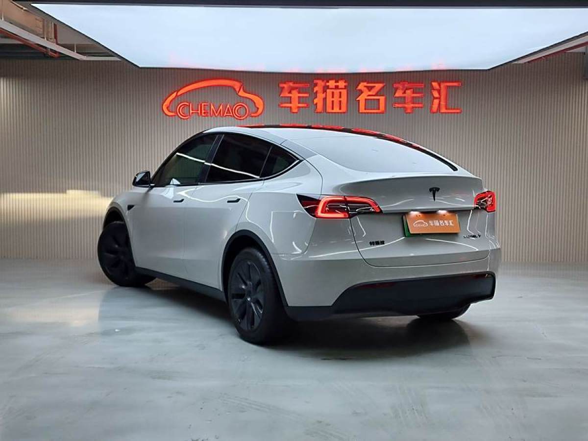 特斯拉 Model Y  2023款 長續(xù)航煥新版 雙電機(jī)全輪驅(qū)動(dòng)圖片