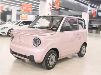 2023年12月 吉利 熊貓mini 200km 耐力熊圖片