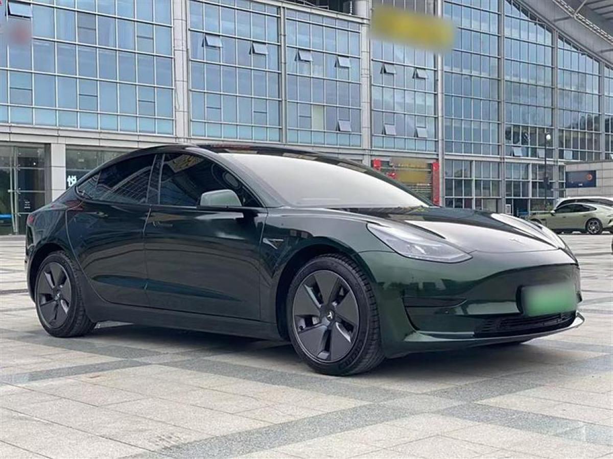 2020年3月特斯拉 Model 3  2019款 標準續(xù)航后驅升級版