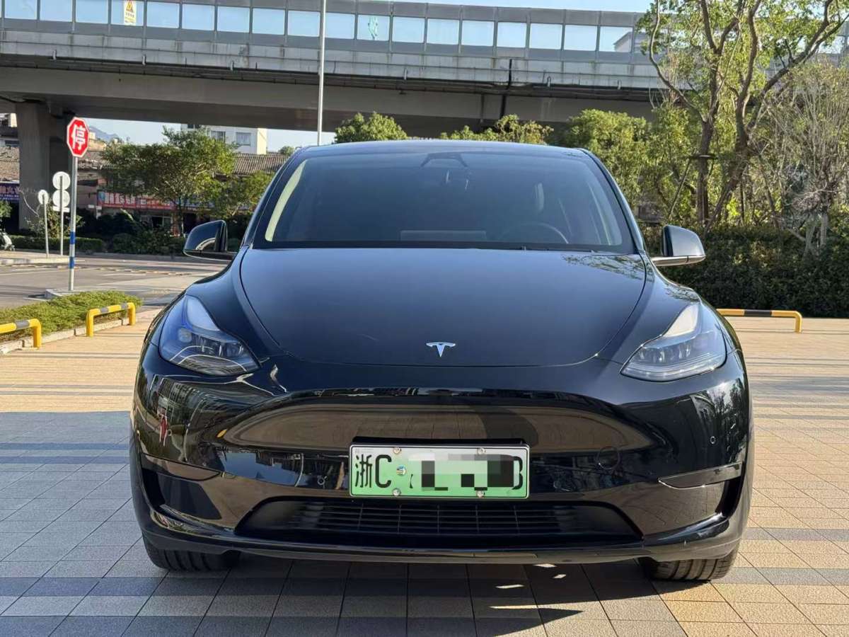 特斯拉 Model Y  2023款 后輪驅動版圖片