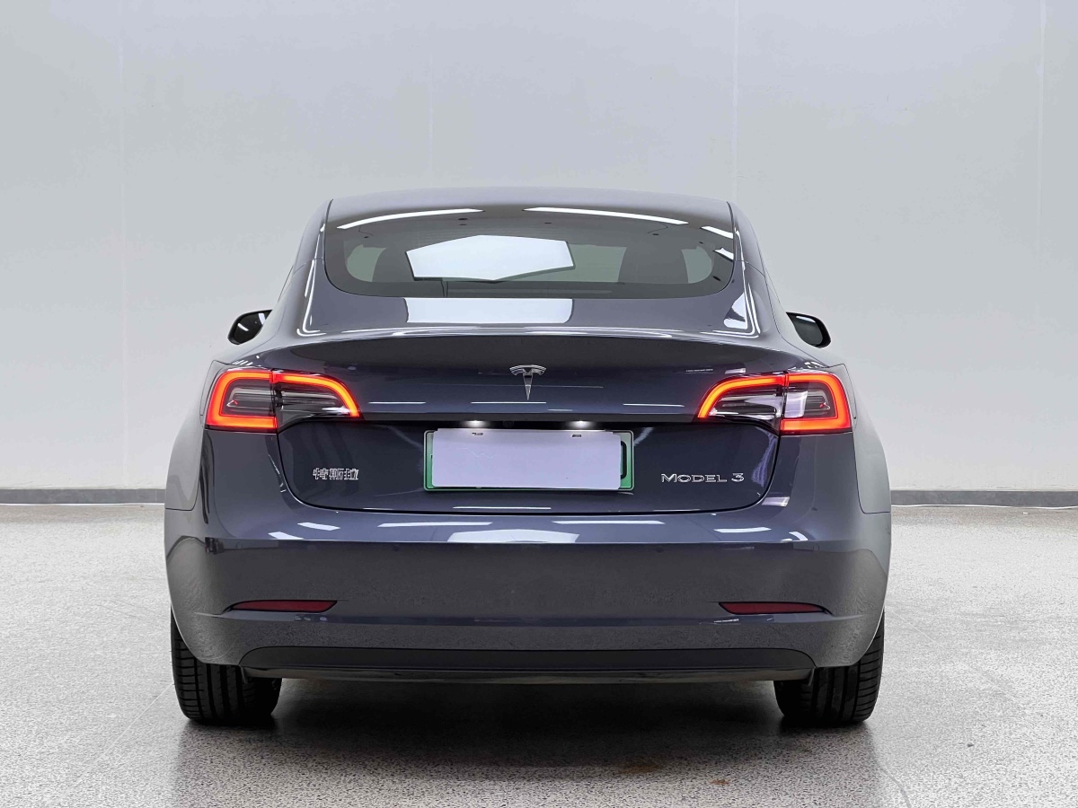 特斯拉 Model 3  2021款 標(biāo)準(zhǔn)續(xù)航后驅(qū)升級版 3D6圖片