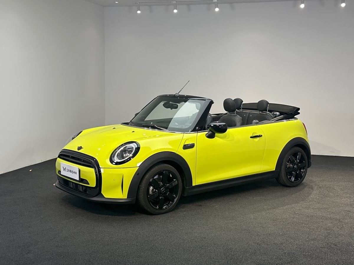 MINI MINI  2023款 改款 1.5T COOPER CABRIO 藝術(shù)家圖片