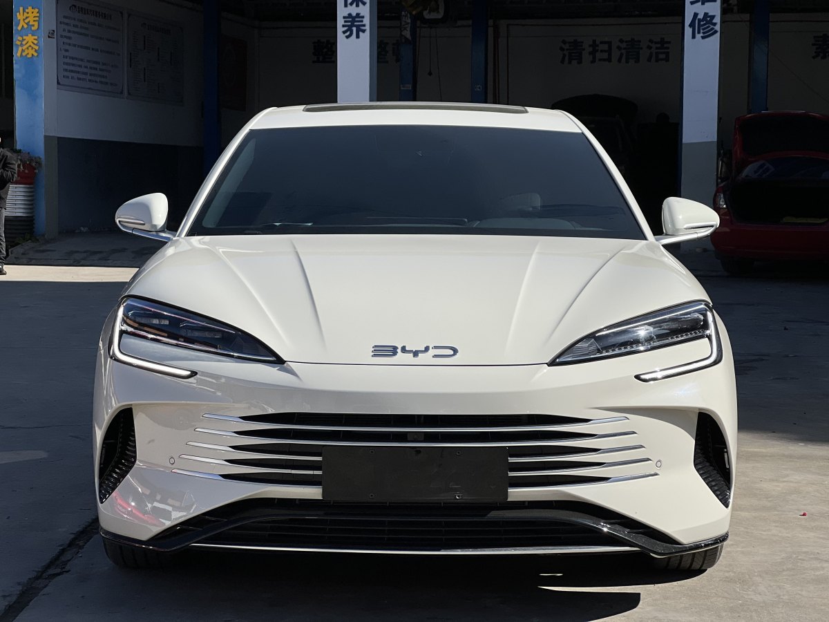 比亞迪 海豹  2023款 DM-i 1.5L 121km 豪華型圖片