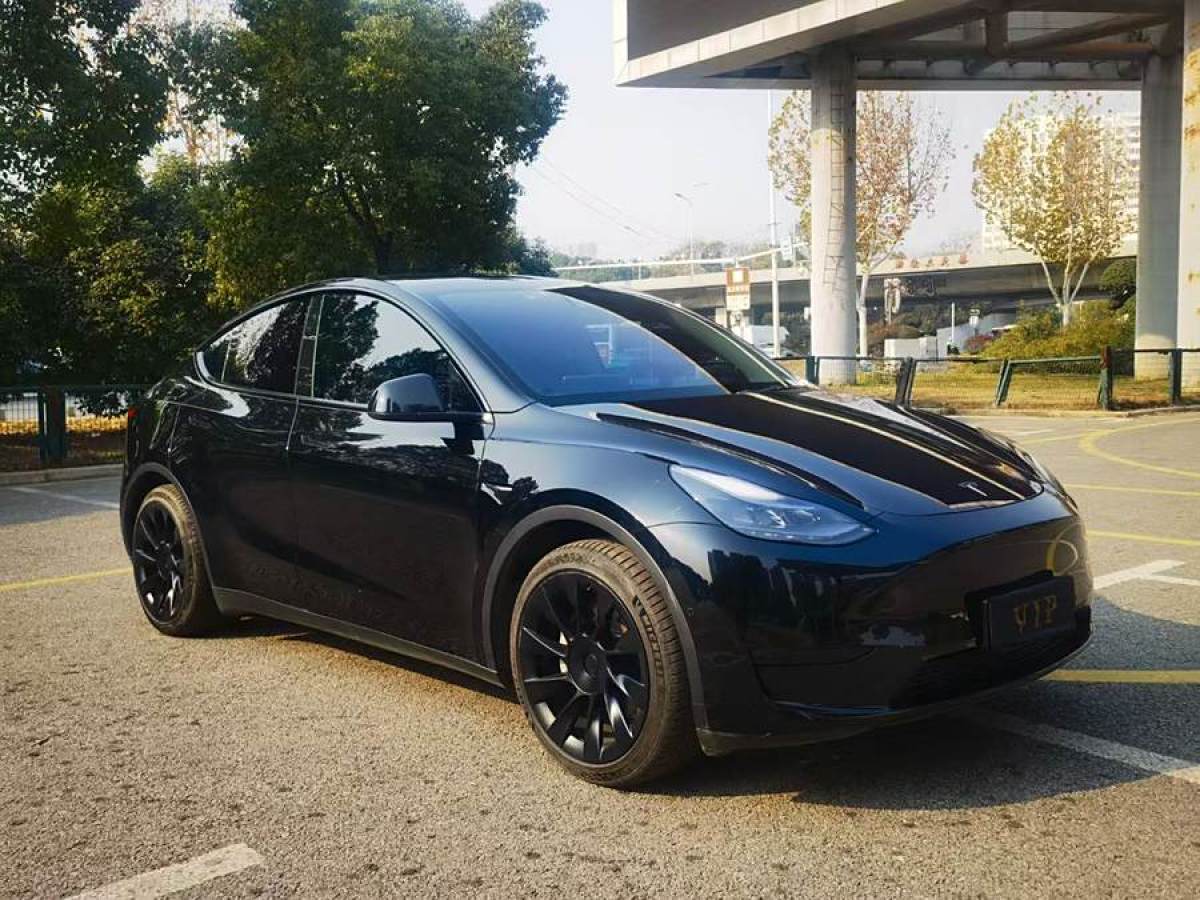 特斯拉 Model 3  2022款 后輪驅(qū)動(dòng)版圖片