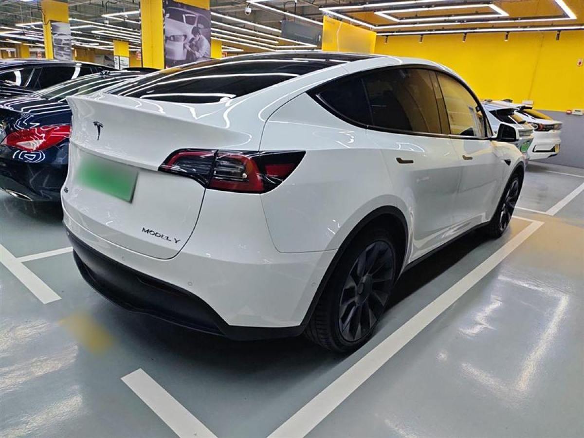 特斯拉 Model Y  2020款 改款 長續(xù)航后輪驅(qū)動版圖片