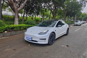 Model 3 特斯拉 標(biāo)準(zhǔn)續(xù)航后驅(qū)升級版 3D6