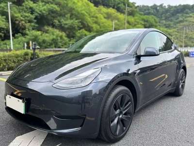 特斯拉 Model Y 后轮驱动版图片