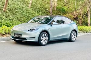 Model 3 特斯拉 改款 长续航后轮驱动版