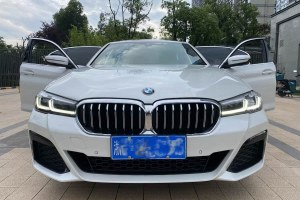 寶馬5系 寶馬 530Li 領(lǐng)先型 M運動套裝
