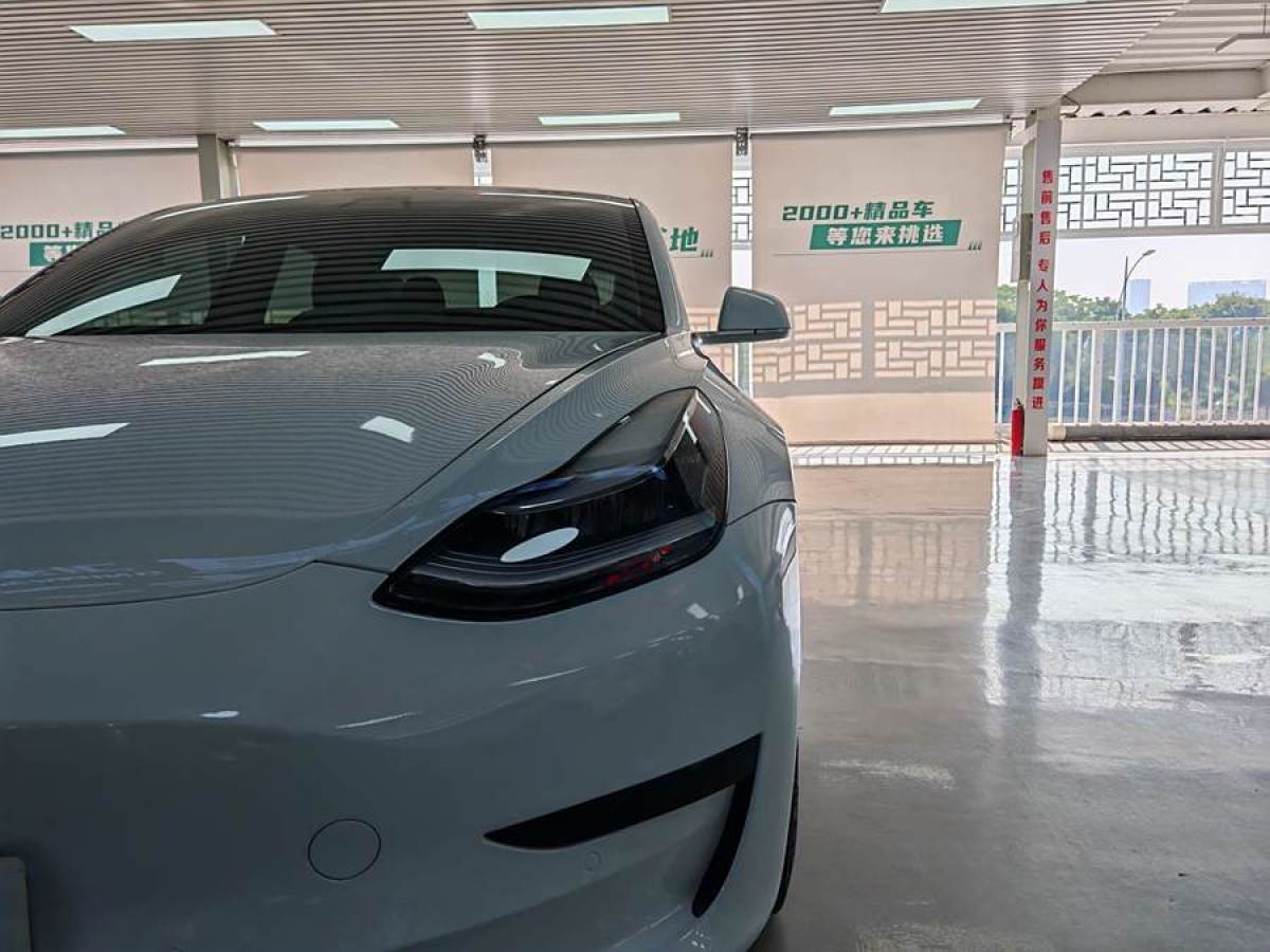 特斯拉 Model 3  2020款 改款 標準續(xù)航后驅(qū)升級版圖片