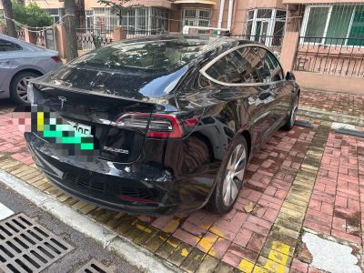 2019年3月 特斯拉 Model 3 Performance高性能全輪驅(qū)動版圖片