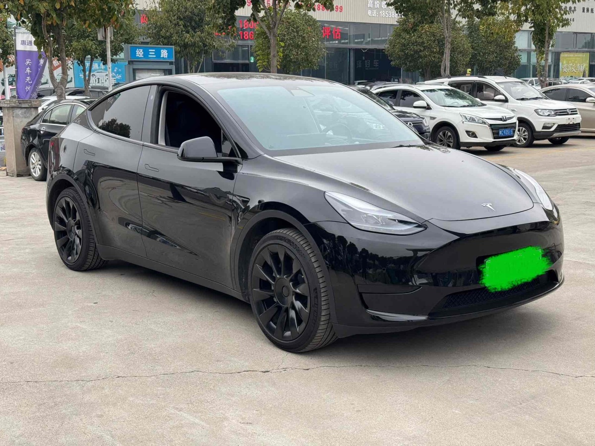 特斯拉 Model Y  2020款 改款 長(zhǎng)續(xù)航后輪驅(qū)動(dòng)版圖片