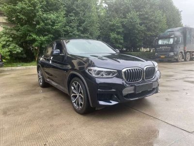 2019年10月 寶馬 寶馬X4(進口) xDrive25i M越野套裝圖片