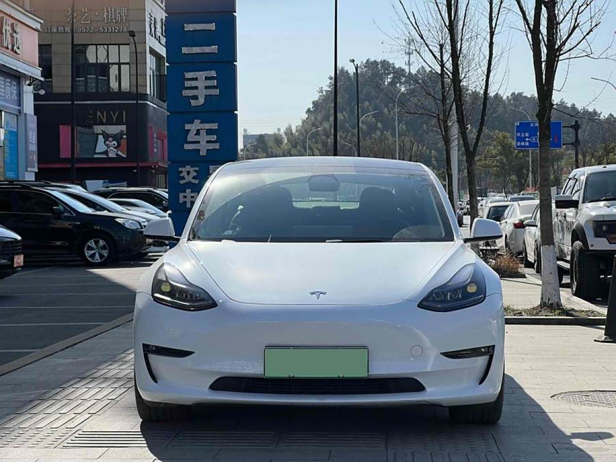 特斯拉 Model Y  2022款 Performance高性能全輪驅(qū)動版圖片