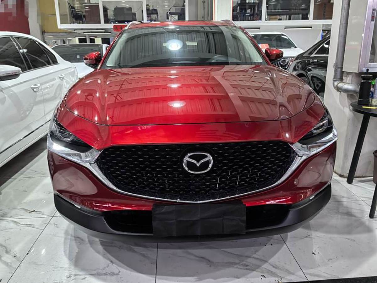 馬自達(dá) CX-30  2020款 2.0L 自動(dòng)嘉悅型圖片