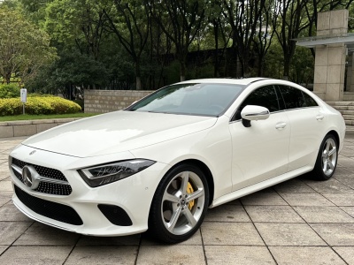 2020年4月 奔驰 奔驰CLS级(进口) CLS 300 动感型图片