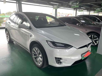 2020年1月 特斯拉 Model X 長(zhǎng)續(xù)航版圖片