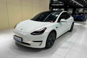 Model 3 特斯拉 改款 標準續(xù)航后驅(qū)升級版