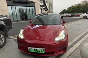 Model 3 特斯拉 Performance高性能全輪驅(qū)動版