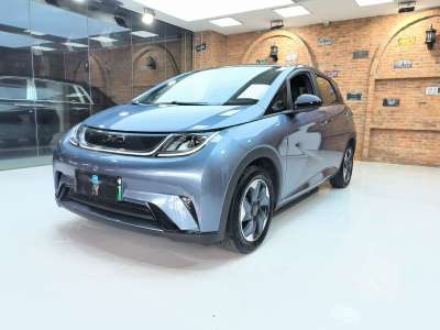 2024年6月 比亞迪 海豚 榮耀版 420km 時(shí)尚版圖片
