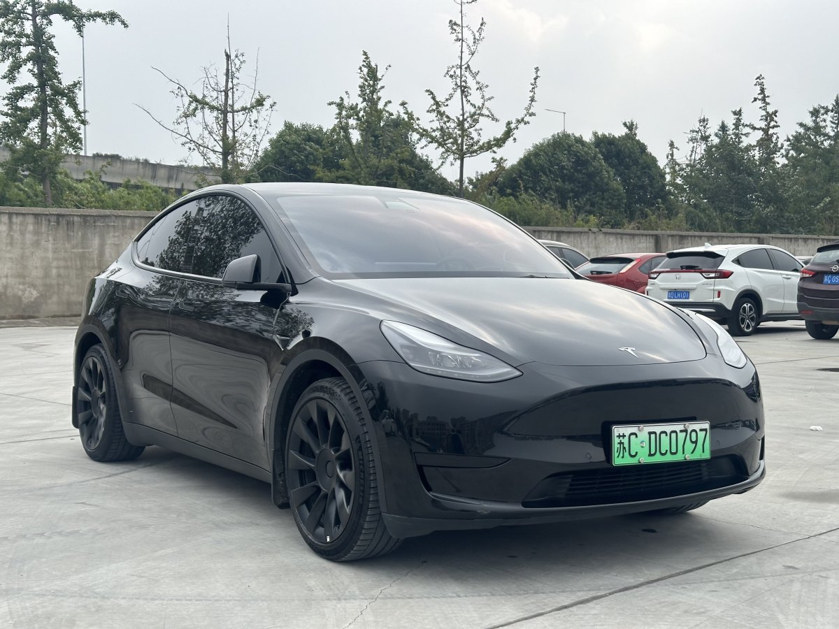 特斯拉 Model Y  2022款 后輪驅(qū)動(dòng)版圖片