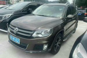 途觀 大眾 1.8TSI 自動(dòng)兩驅(qū)30周年紀(jì)念版