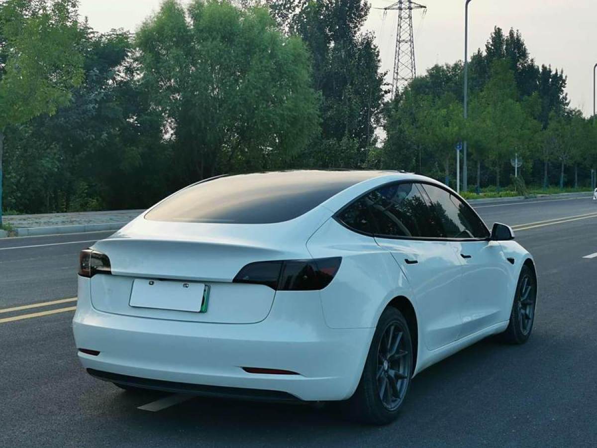 特斯拉 Model 3  2021款 標(biāo)準(zhǔn)續(xù)航后驅(qū)升級版 3D6圖片