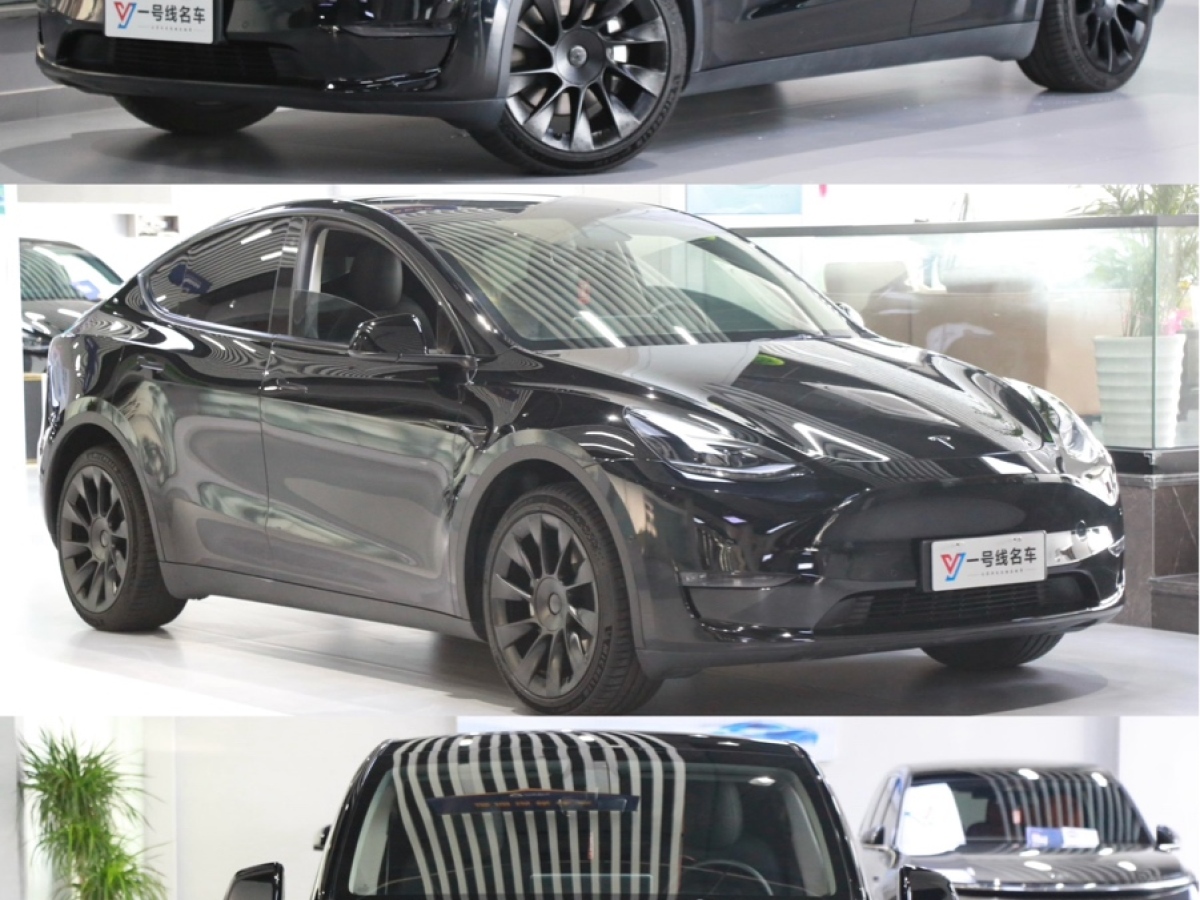 特斯拉 Model Y  2021款 標(biāo)準(zhǔn)續(xù)航后驅(qū)版圖片