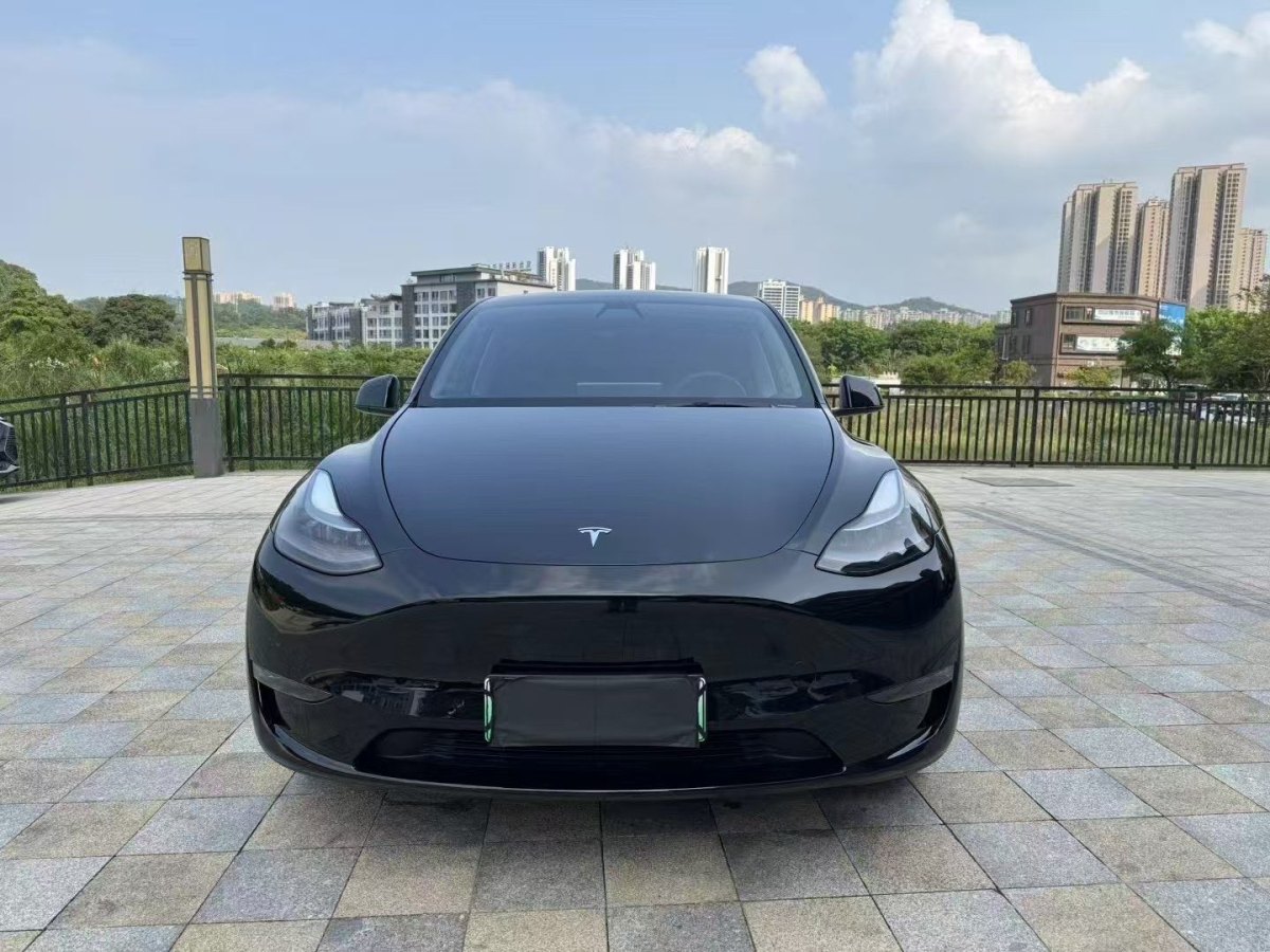 特斯拉 Model Y  2021款 標(biāo)準(zhǔn)續(xù)航后驅(qū)版圖片