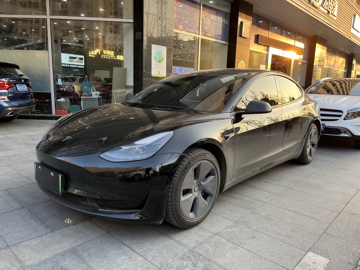 特斯拉 Model 3  2021款 標(biāo)準(zhǔn)續(xù)航后驅(qū)升級(jí)版 3D6圖片