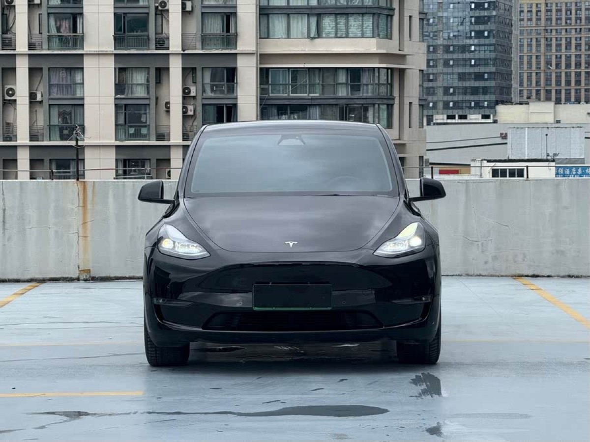 特斯拉 Model Y  2024款 長續(xù)航全輪驅(qū)動(dòng)版圖片